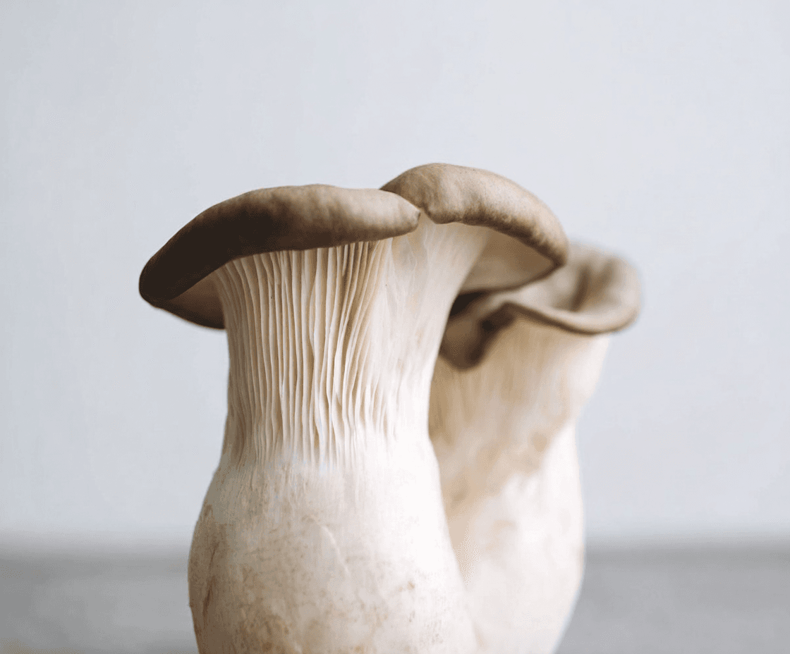 Raw Oyster Mushrooms